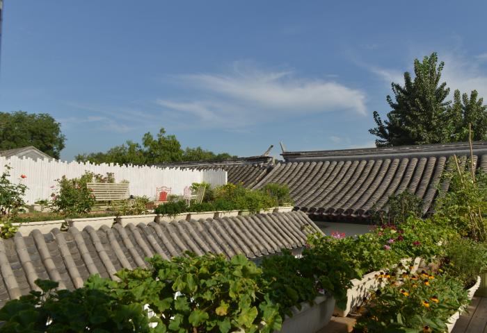 我的北平花园-房型预订